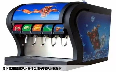 如何选用家用净水器什么牌子的净水器好啊