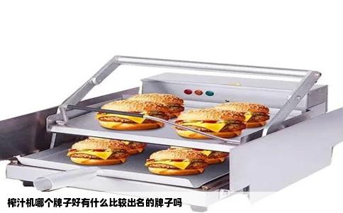 榨汁机哪个牌子好有什么比较出名的牌子吗