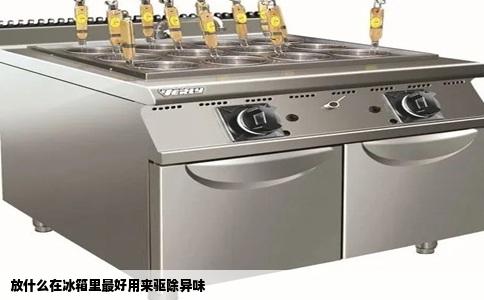 放什么在冰箱里最好用来驱除异味