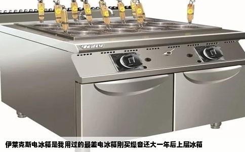 伊莱克斯电冰箱是我用过的最差电冰箱刚买燥音还大一年后上层冰箱