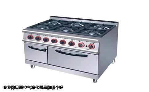 专业除甲醛空气净化器品牌哪个好