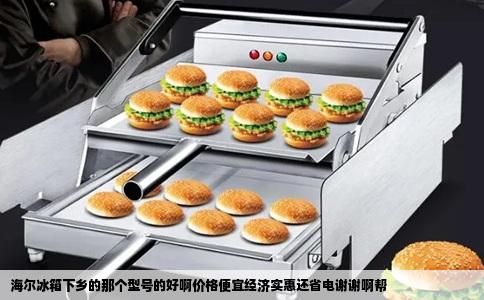 海尔冰箱下乡的那个型号的好啊价格便宜经济实惠还省电谢谢啊帮