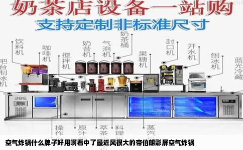 空气炸锅什么牌子好用啊看中了最近风很大的帝伯朗彩屏空气炸锅