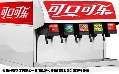 我是开餐饮店的想买一台油烟净化器请问需要多少钱怎样安装