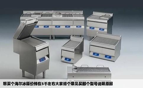 想买个海尔冰箱价格在5千左右大家给个意见买那个型号说明原因