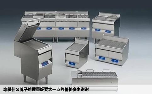 冰箱什么牌子的质量好要大一点的价格多少谢谢