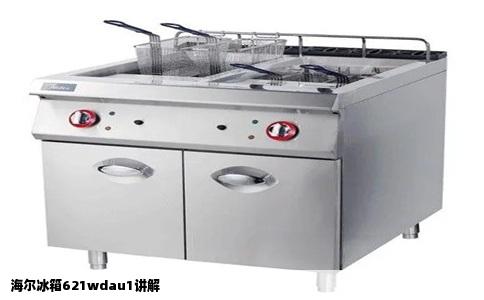 海尔冰箱621wdau1讲解