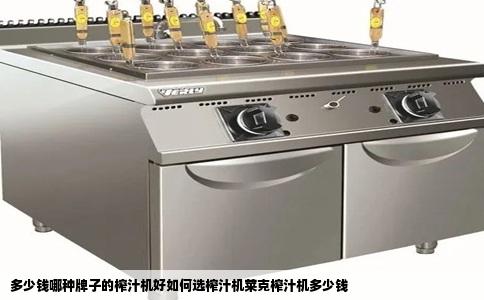 多少钱哪种牌子的榨汁机好如何选榨汁机莱克榨汁机多少钱