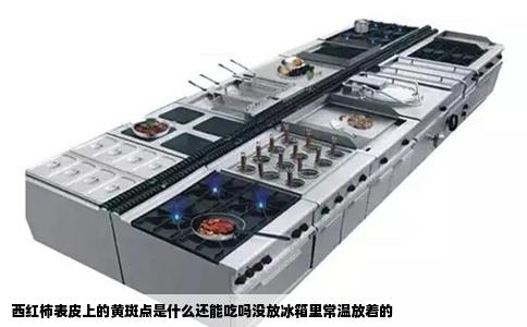 西红柿表皮上的黄斑点是什么还能吃吗没放冰箱里常温放着的