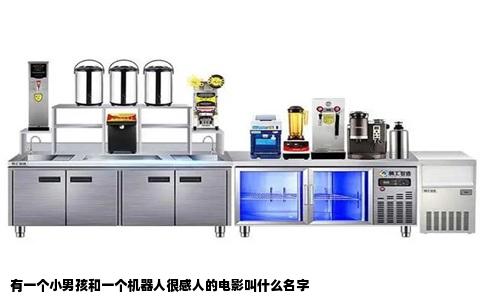 有一个小男孩和一个机器人很感人的电影叫什么名字