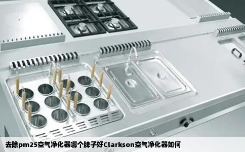 去除pm25空气净化器哪个牌子好Clarkson空气净化器如何
