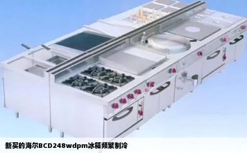新买的海尔BCD248wdpm冰箱频繁制冷