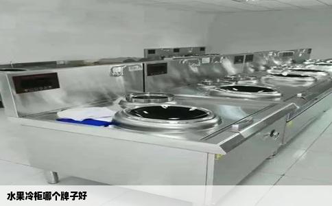 水果冷柜哪个牌子好