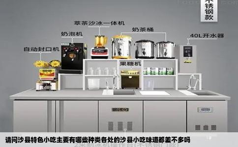 请问沙县特色小吃主要有哪些种类各处的沙县小吃味道都差不多吗
