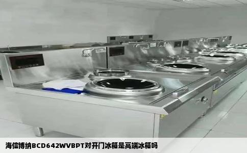 海信博纳BCD642WVBPT对开门冰箱是高端冰箱吗