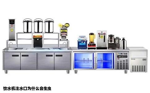 饮水机注水口为什么会生虫