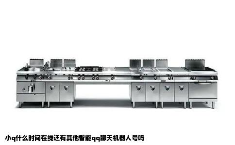 小q什么时间在线还有其他智能qq聊天机器人号吗