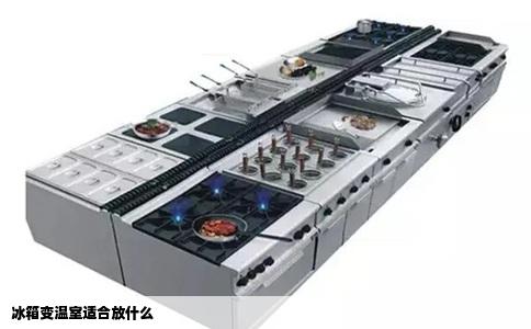 冰箱变温室适合放什么