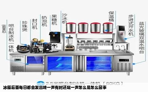 冰箱后面每日都会发出咚一声有时还哒一声怎么是怎么回事