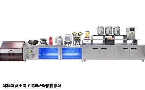 冰箱冷藏不冷了冷冻还好使能修吗