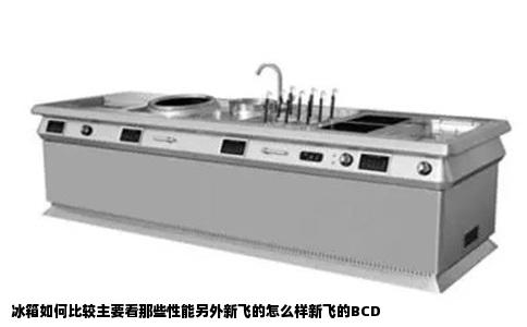冰箱如何比较主要看那些性能另外新飞的怎么样新飞的BCD