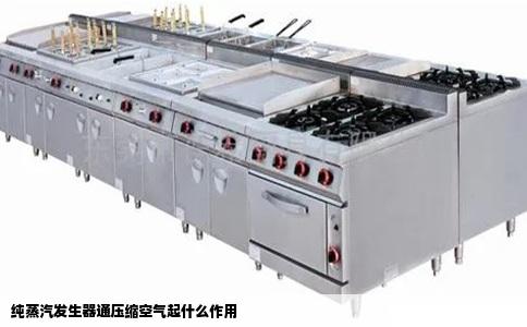 纯蒸汽发生器通压缩空气起什么作用