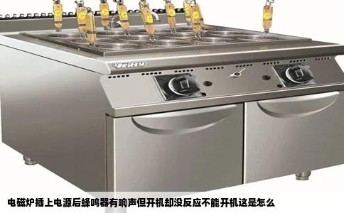电磁炉插上电源后蜂鸣器有响声但开机却没反应不能开机这是怎么