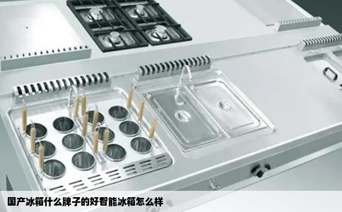 国产冰箱什么牌子的好智能冰箱怎么样