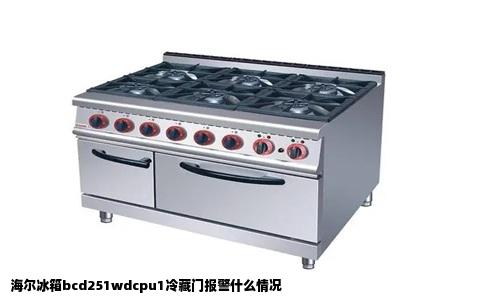 海尔冰箱bcd251wdcpu1冷藏门报警什么情况