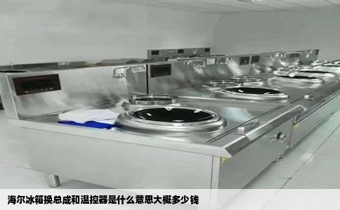 海尔冰箱换总成和温控器是什么意思大概多少钱