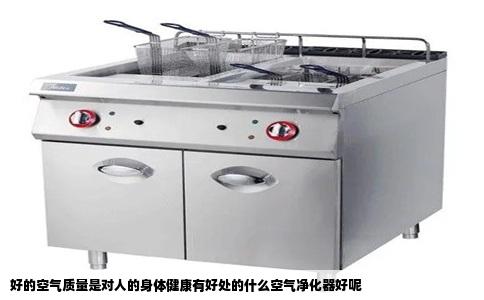 好的空气质量是对人的身体健康有好处的什么空气净化器好呢