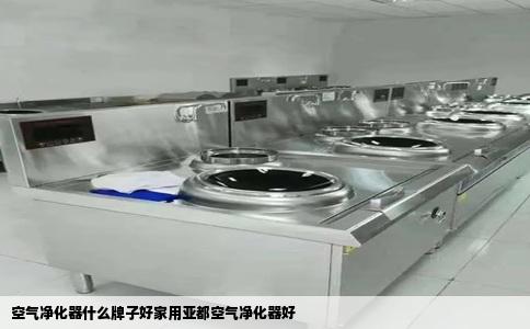 空气净化器什么牌子好家用亚都空气净化器好