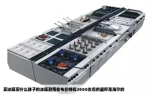 买冰箱买什么牌子的冰箱耐用省电价格在2000左右的最好是海尔的