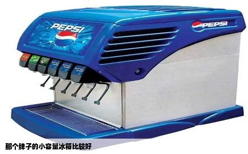 那个牌子的小容量冰箱比较好