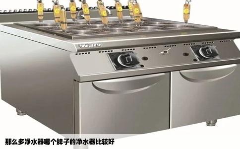 那么多净水器哪个牌子的净水器比较好