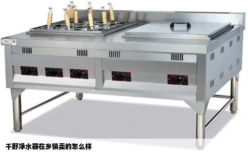 千野净水器在乡镇卖的怎么样
