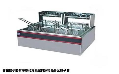 容量最小的有冷冻和冷藏室的冰箱是什么牌子的