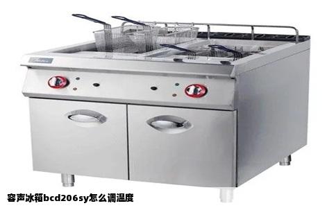 容声冰箱bcd206sy怎么调温度