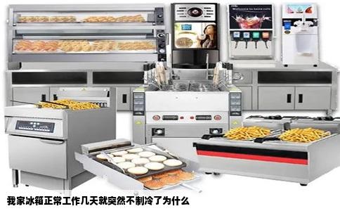 我家冰箱正常工作几天就突然不制冷了为什么