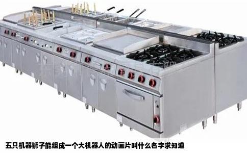 五只机器狮子能组成一个大机器人的动画片叫什么名字求知道