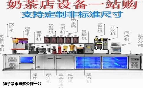 扬子净水器多少钱一台