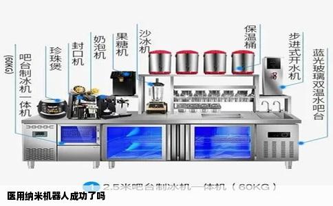 医用纳米机器人成功了吗