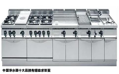 中国净水器十大品牌有哪些求答案